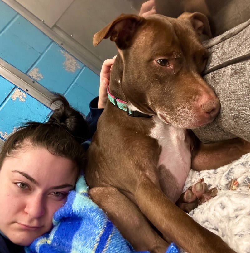 a girl caresses a sad dog in a shelter