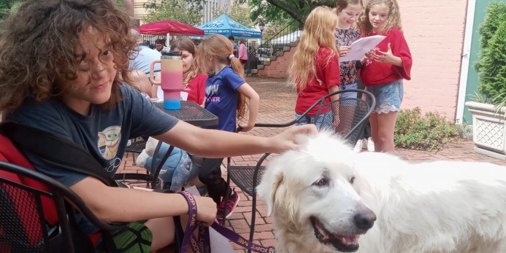 a girl with a foster dog in a cafe at a table