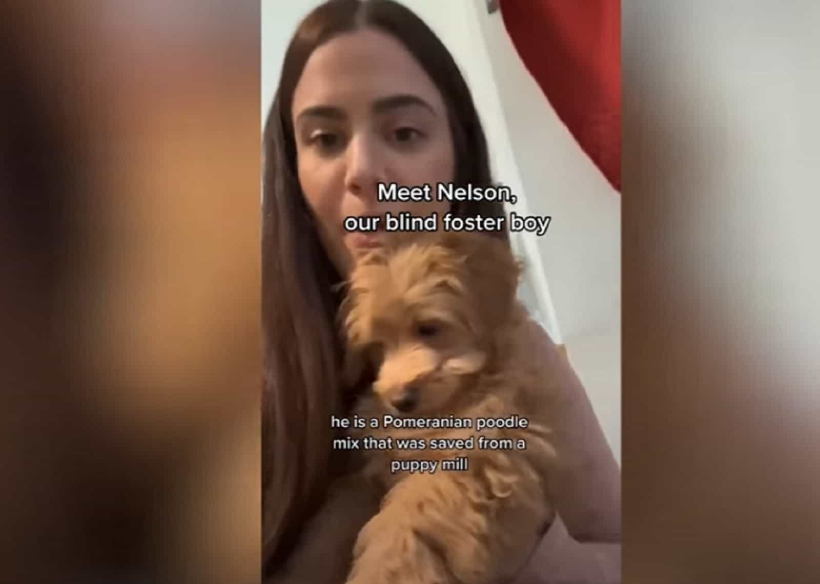 a girl with long brown hair holds a poodle in her arms