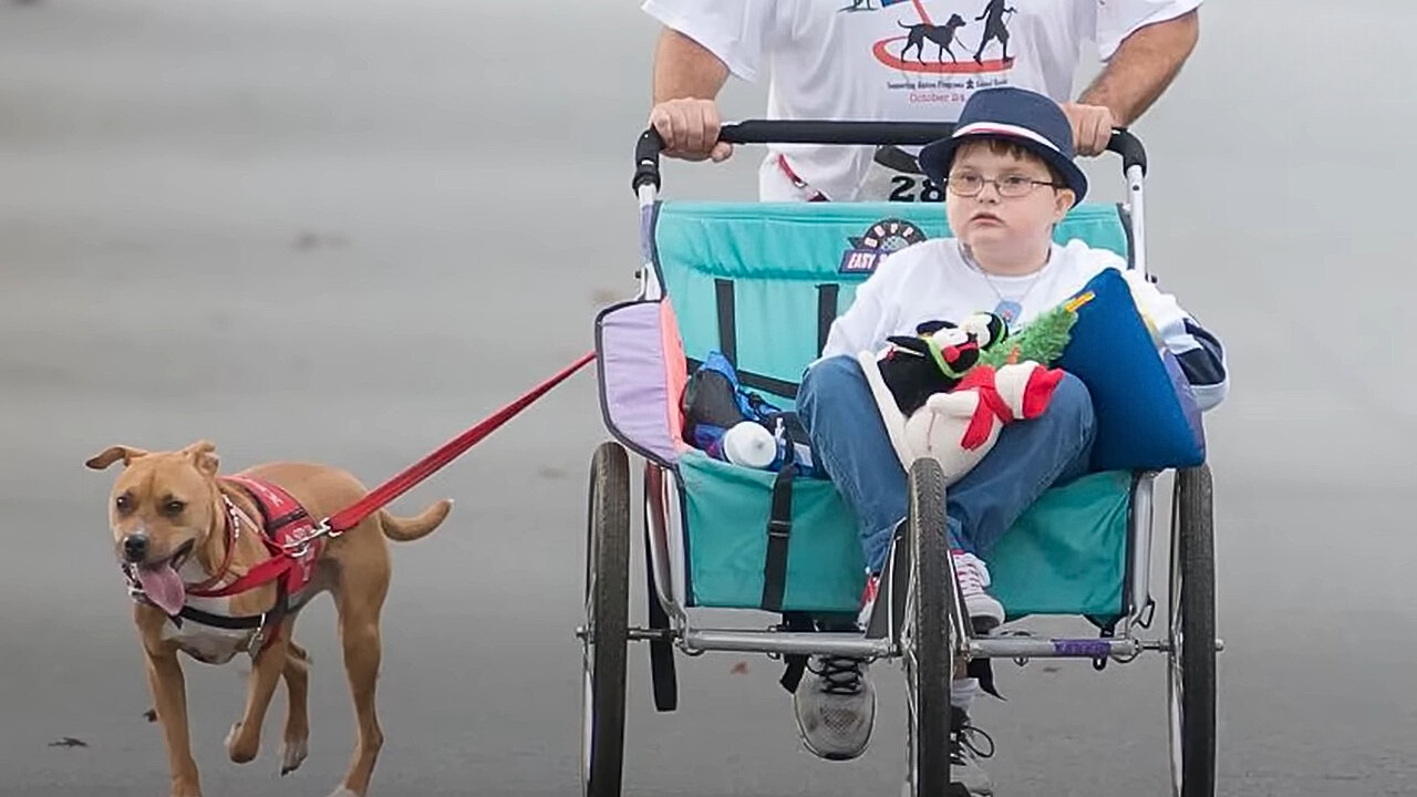 a boy with autism in a wheelchair