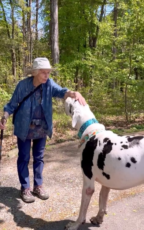 a grandmother caresses a Great Dane in the forest