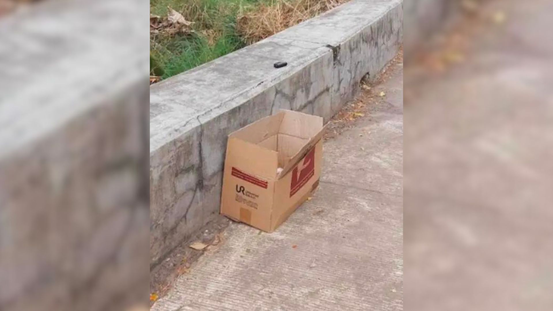 Cyclists Were Surprised To See A Box Near A Path And Decided To Investigate It