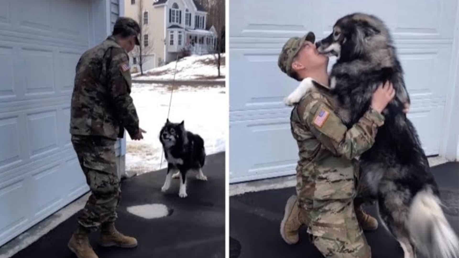 After 10 Long Months Apart, A Wolf-Dog Finally Reunites With His Loving Dad