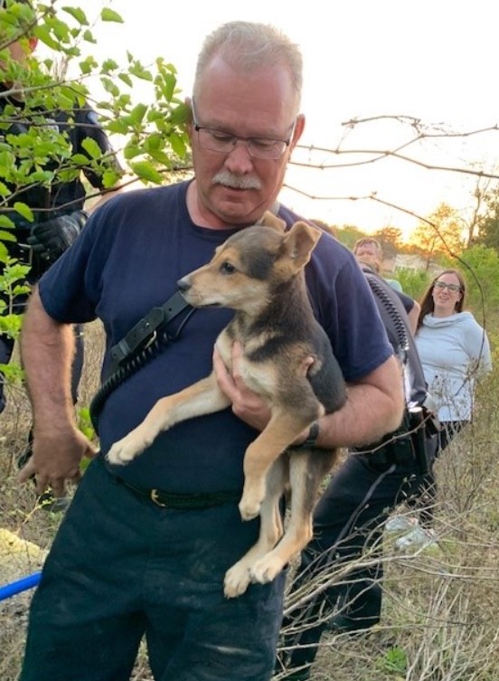 a man carries a dog after rescuing it