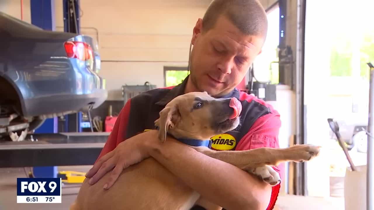 a man holds a puppy in his arms