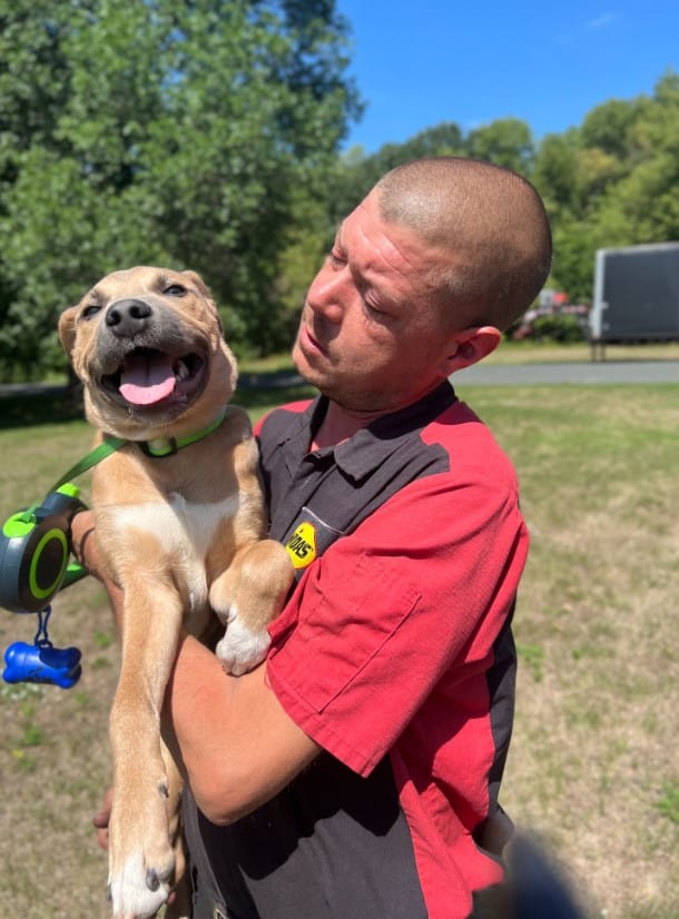 a man holds a rescued stray dog