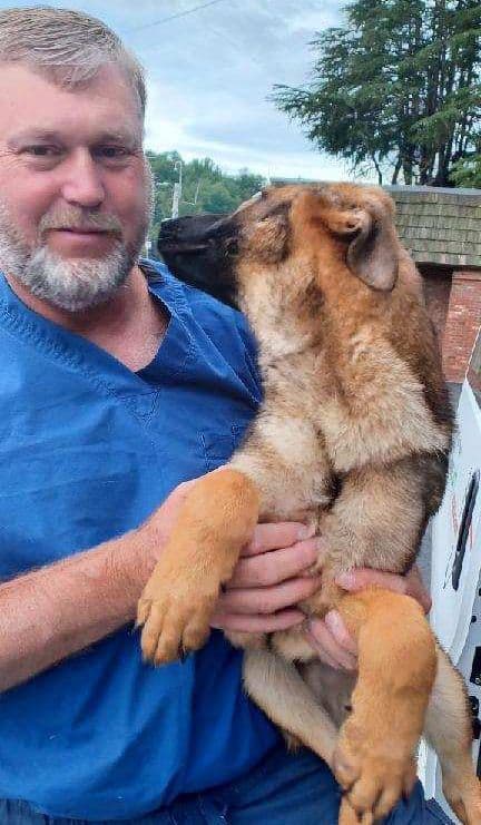 a man holds a stray German shepherd in his arms