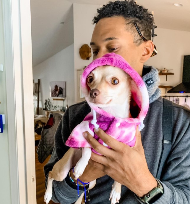 a man is holding a cute chihuahua in his arms