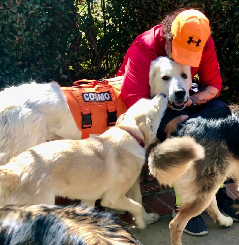 a man petting dogs