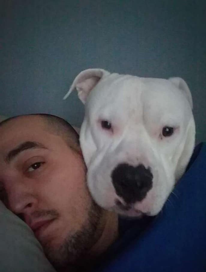 a man takes a picture with his dog