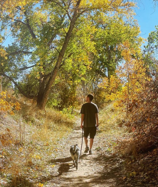 a man walking with his dog in the forest