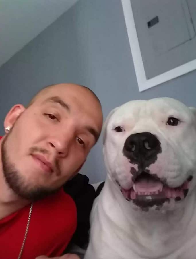 a man with a white pit bull