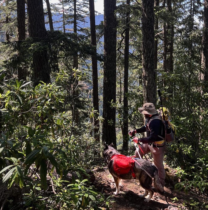 a man with his dog in the forest