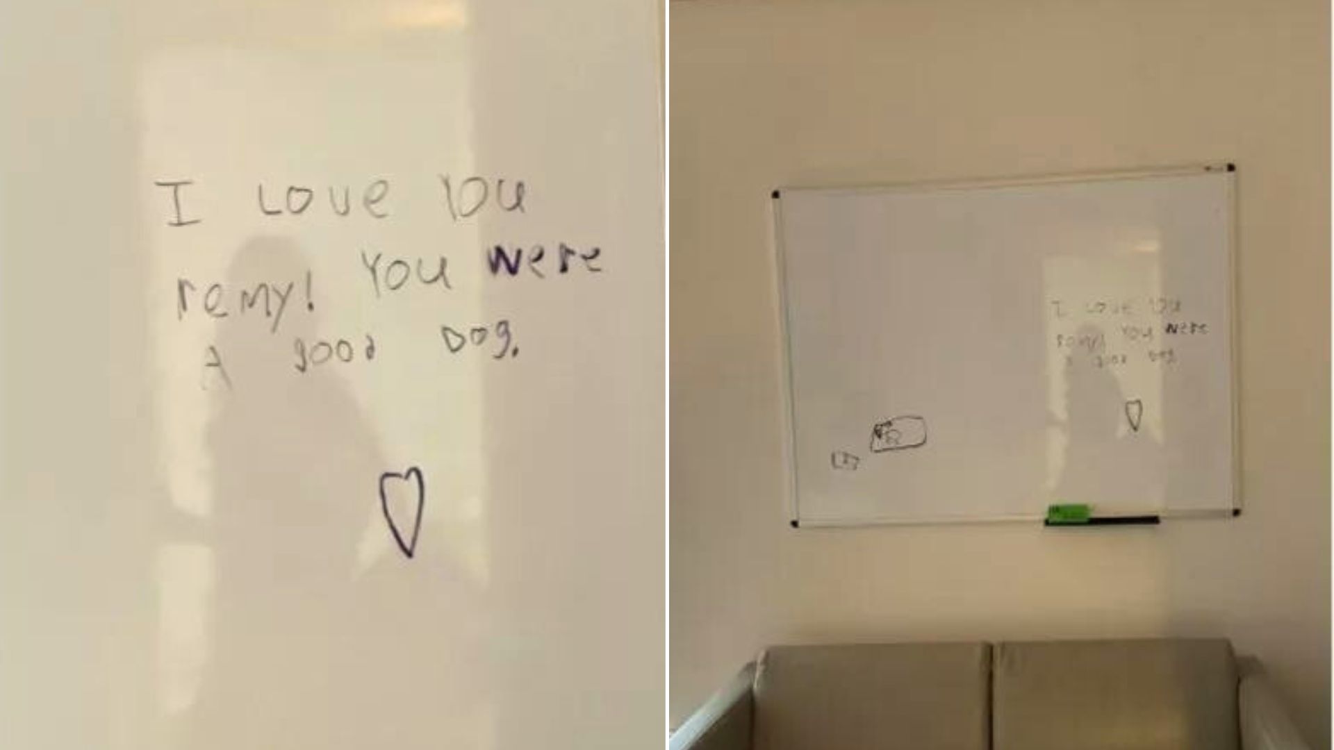 A Message Left On Vet Office Whiteboard By A Grieving Child Will Make Your Heart Cry