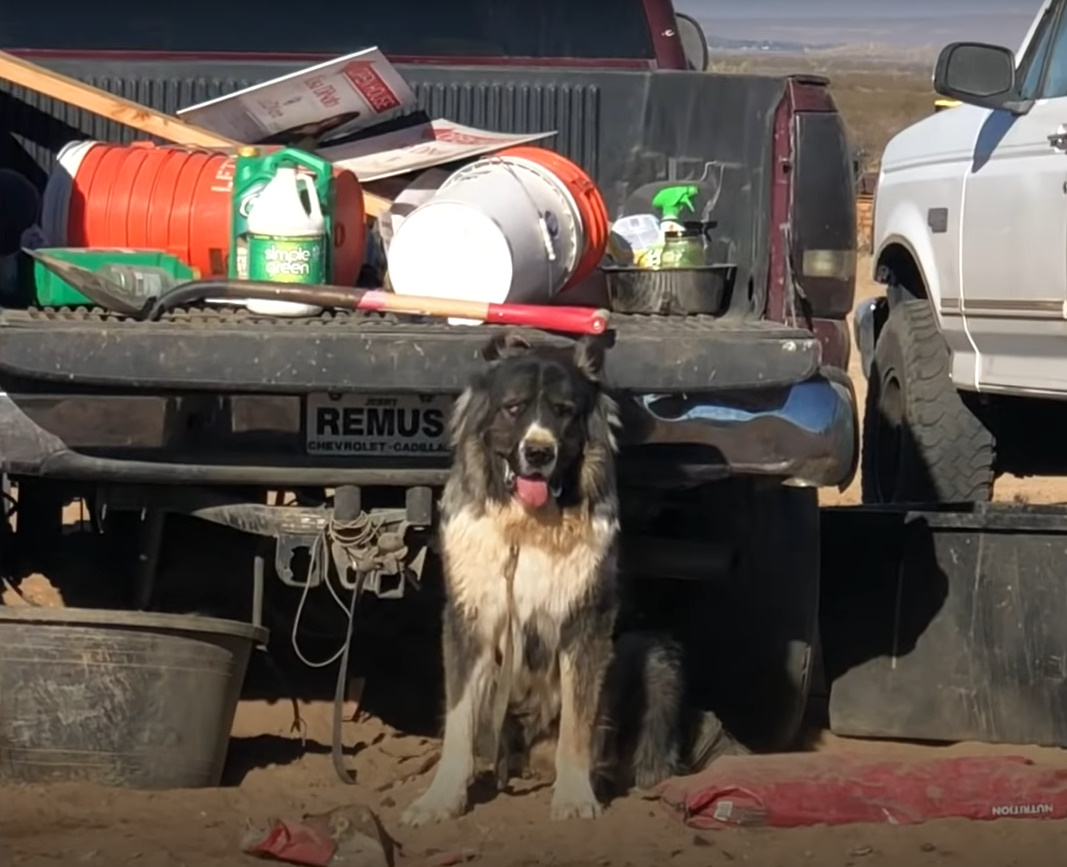 a mountaineer is sitting next to the van