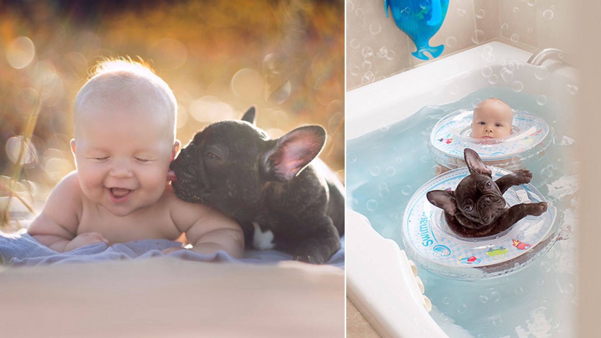 A Newborn And A Bulldog Born On The Same Day Become True Brothers