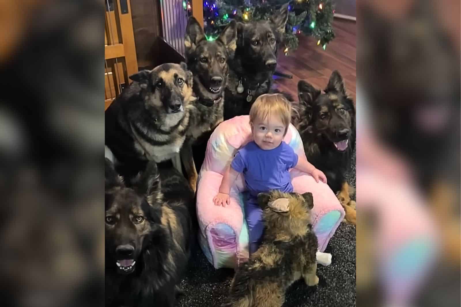 These 5 Huge German Shepherds Love Their Baby Sister So Much