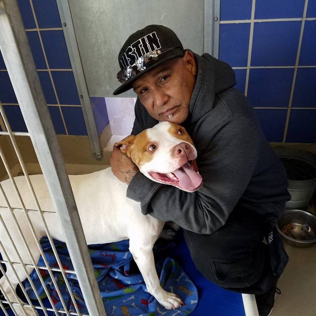 a pit bull with its tongue sticking out in the arms of a man