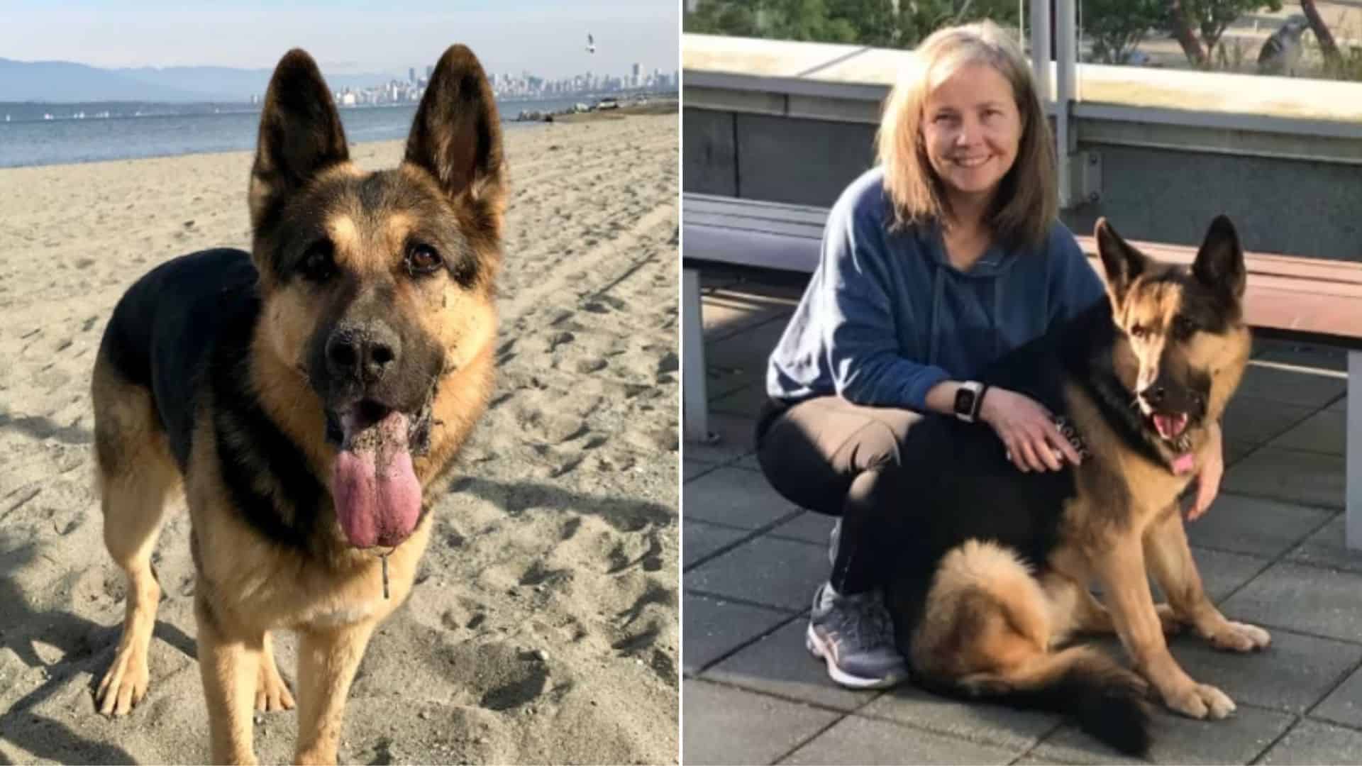 A Rescue Dog Teaches This Couple That Adult Dogs Deserve Love, Too