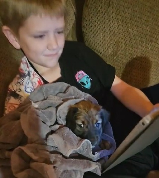 a rescued puppy wrapped in a blanket next to the boy