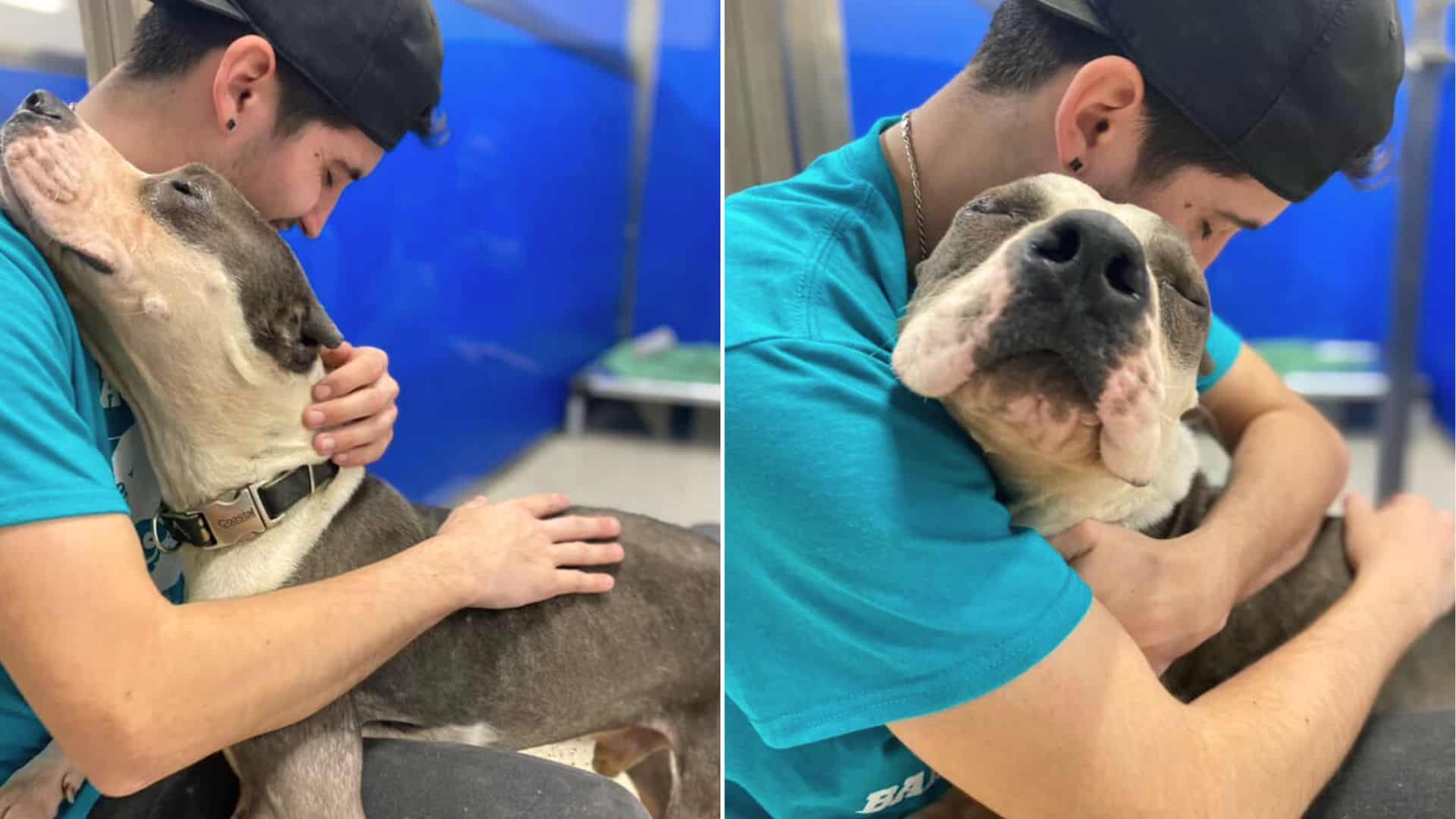 Gentle Stray Dog Showers Caregivers With The Sweetest Hugs