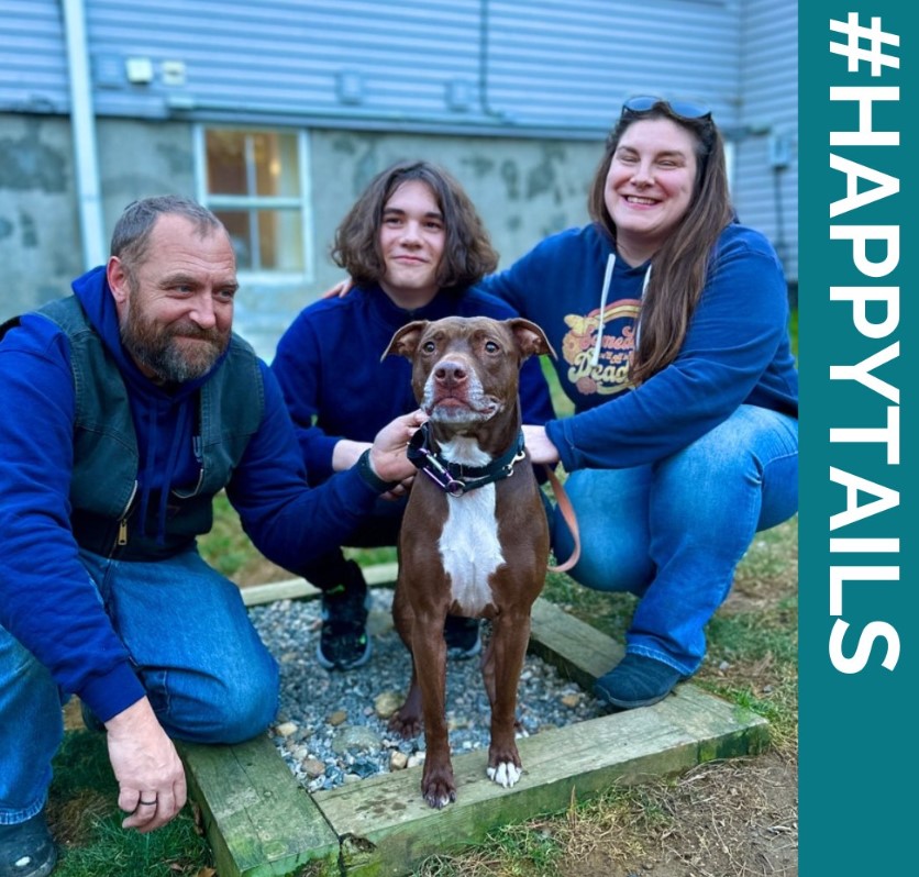 a smiling family with a dog takes a picture