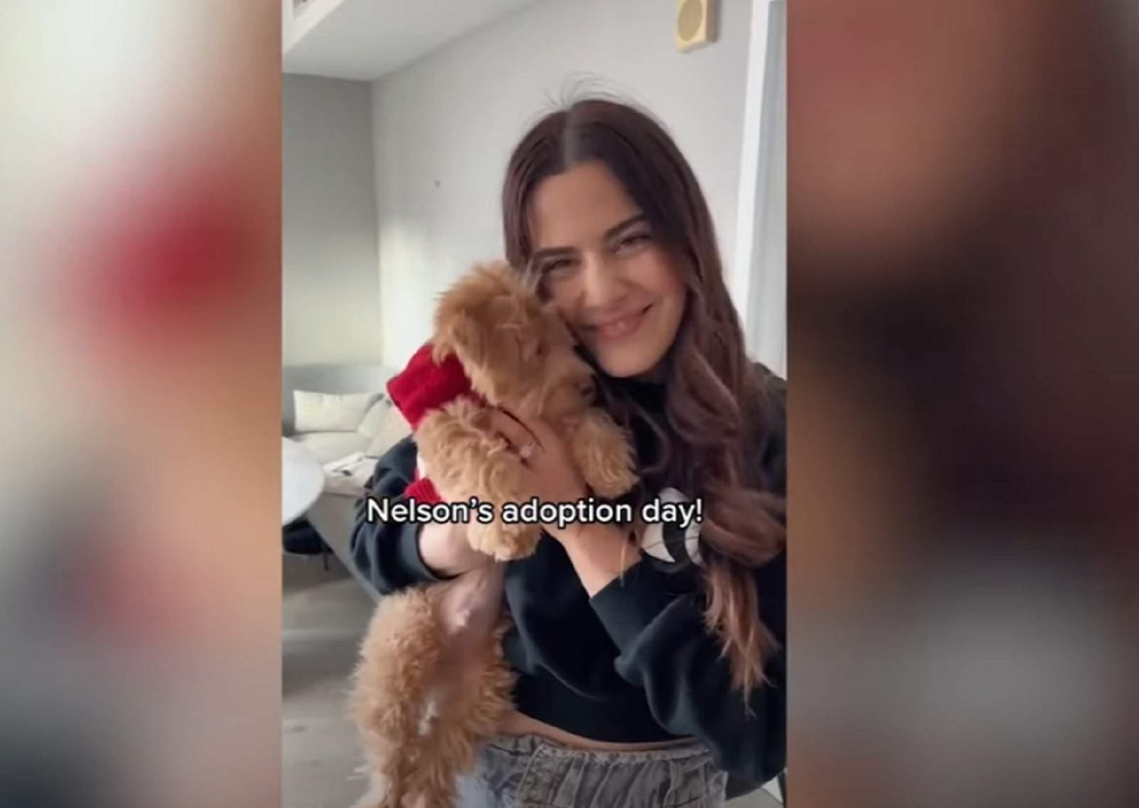 a smiling girl is pestering her poodle