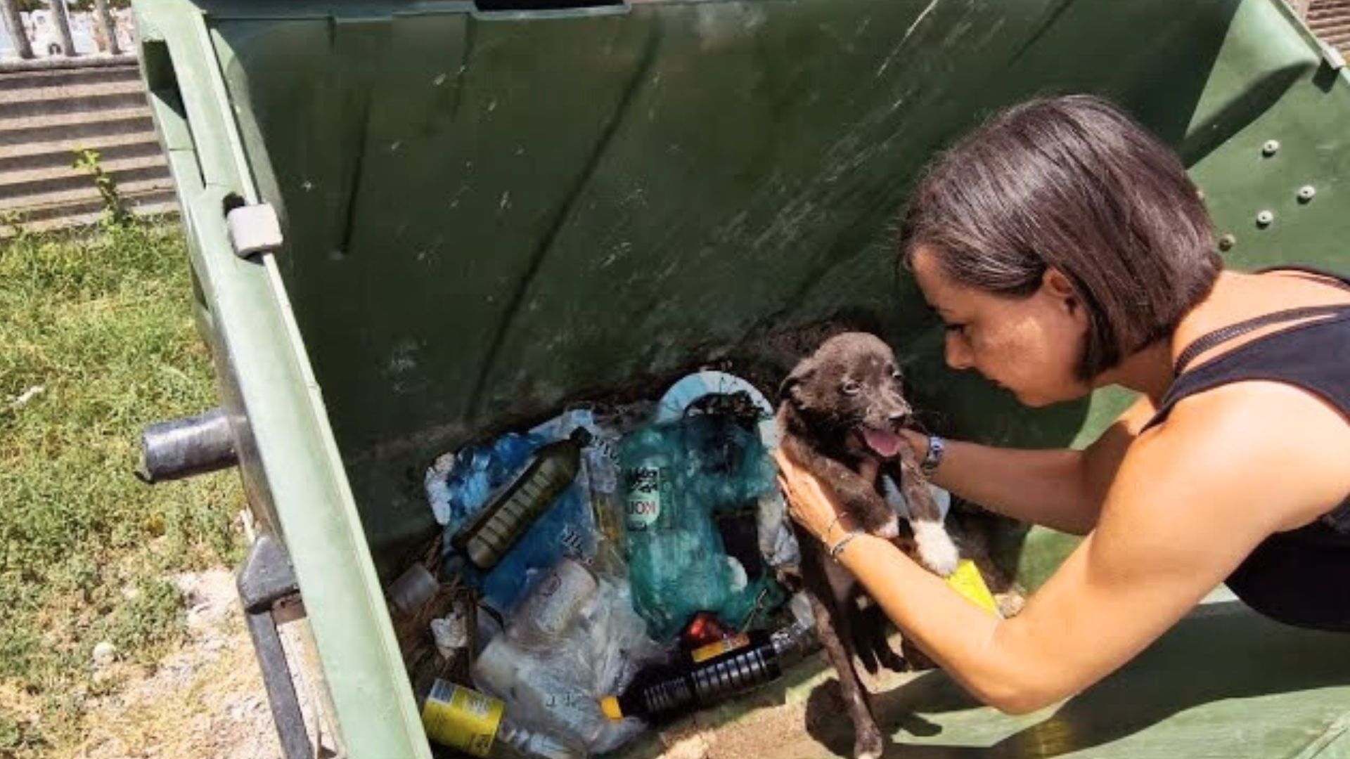 Rescuers Were Shocked To Find A Starving Cruelly Dumped In A Trash Container