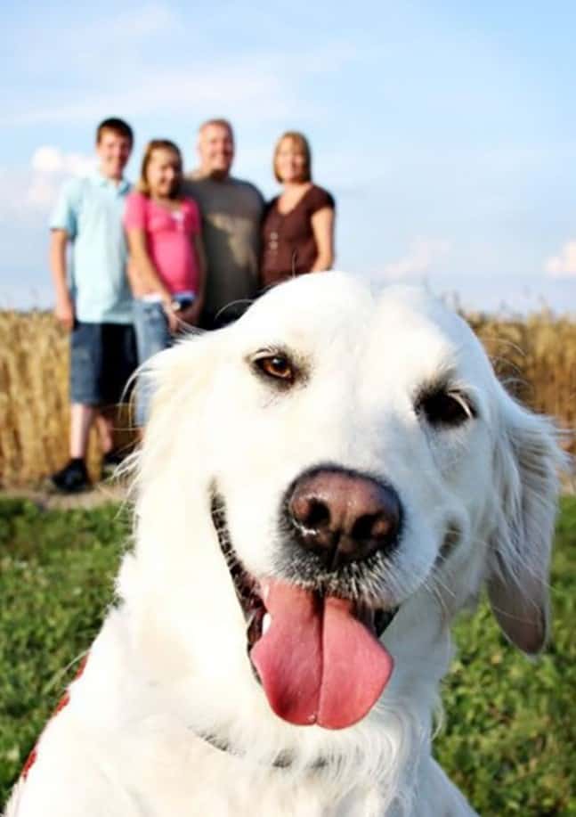 a white dog in front of the camera while the family takes pictures