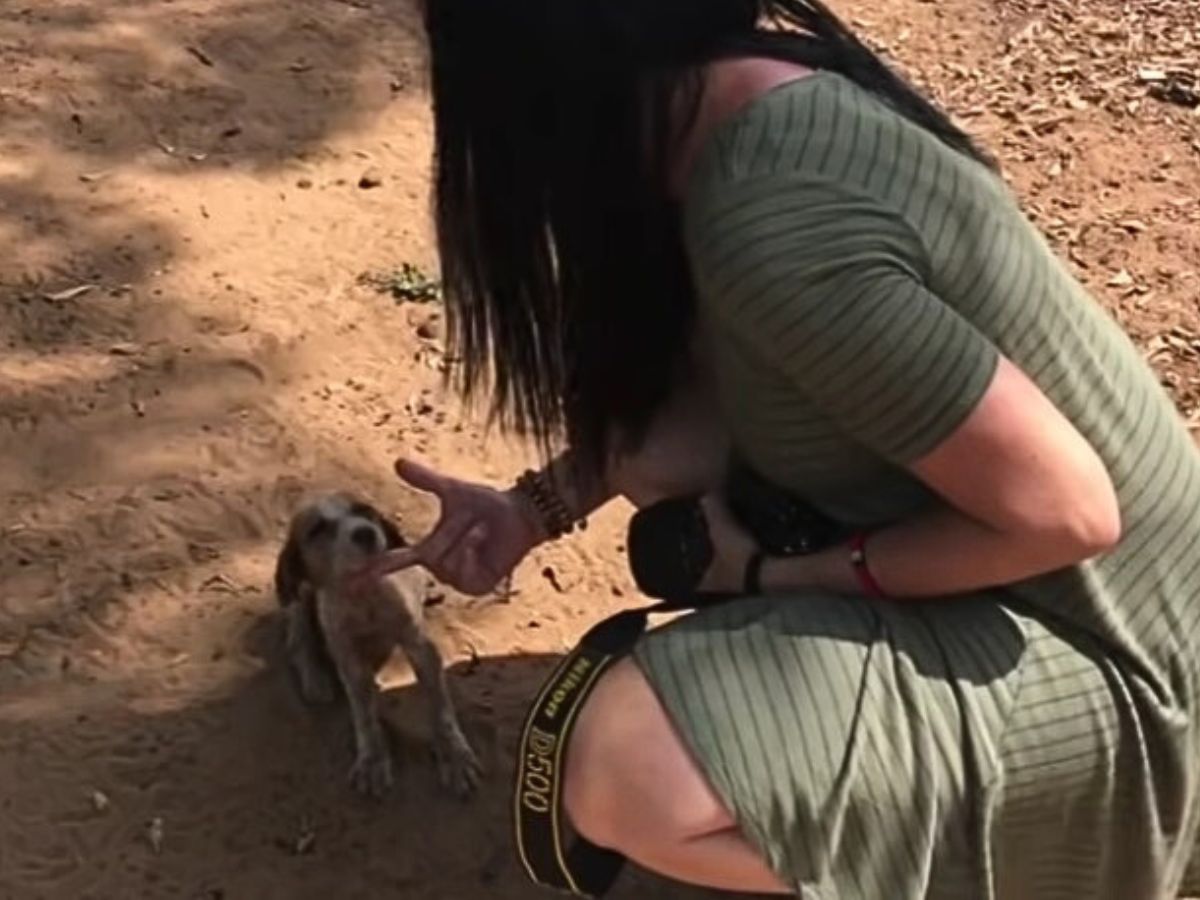 a woman caresses a dog sitting on the sand