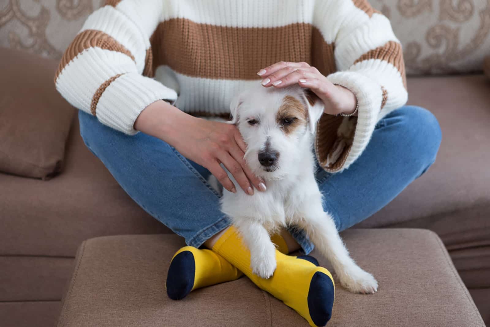 a woman gently stroking her dog in the living room