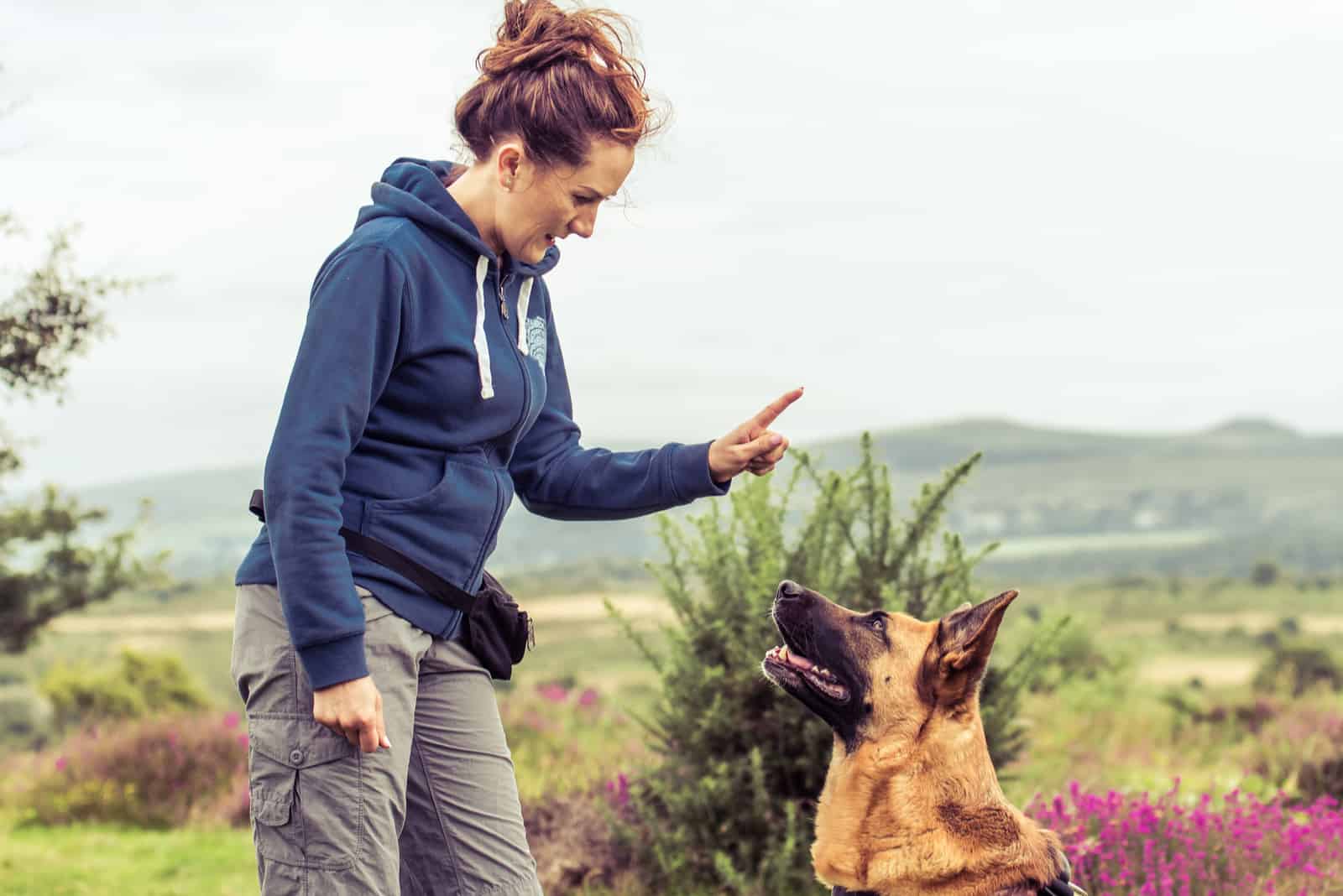 a woman guards a German shepherd