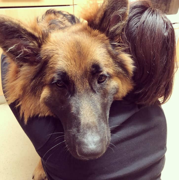 a woman holds a German shepherd in her arms