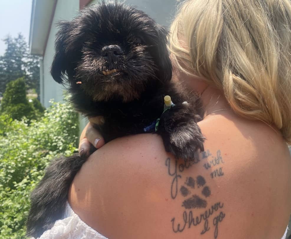 a woman holds her sick dog in her arms