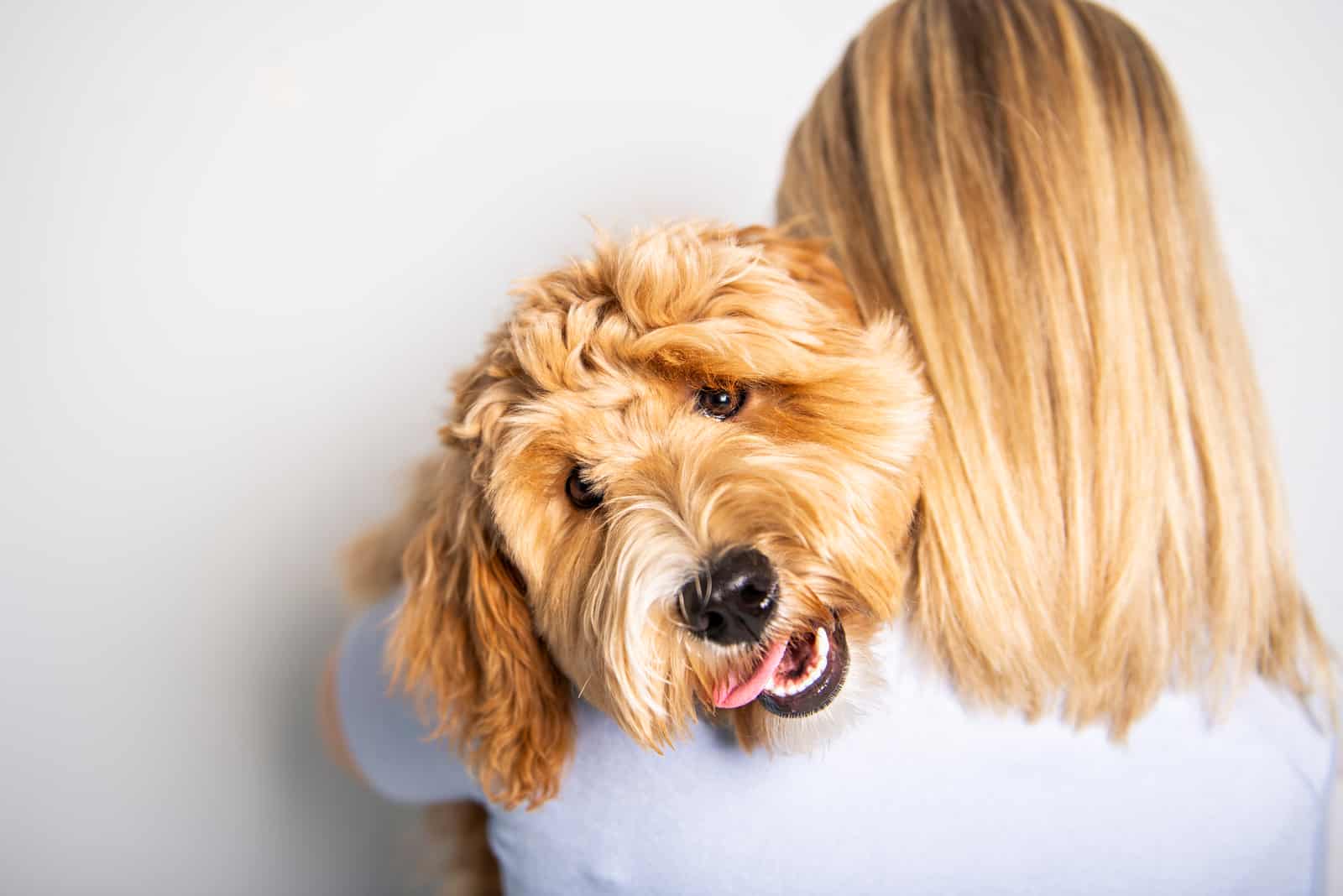 a woman hugs a dog