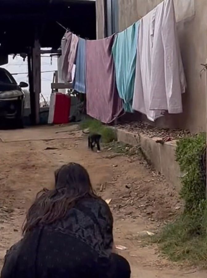 a woman saves a black dog crossing the street