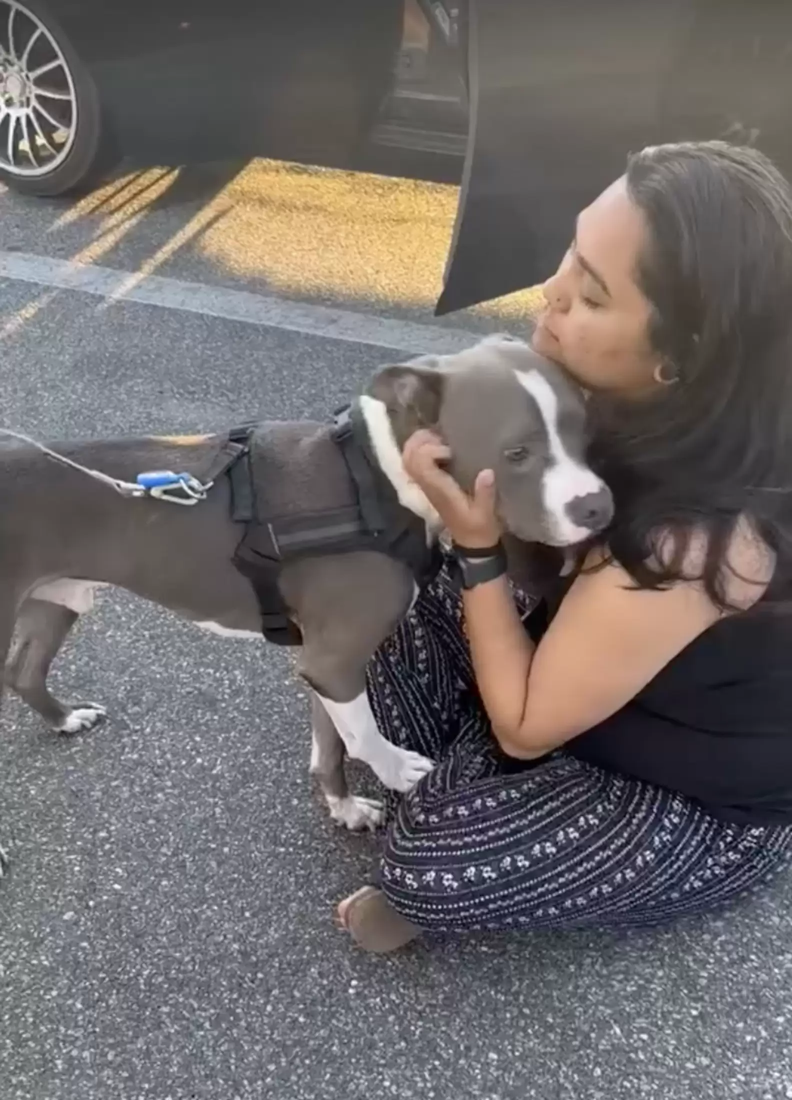 a woman sits on the street and hugs a dog