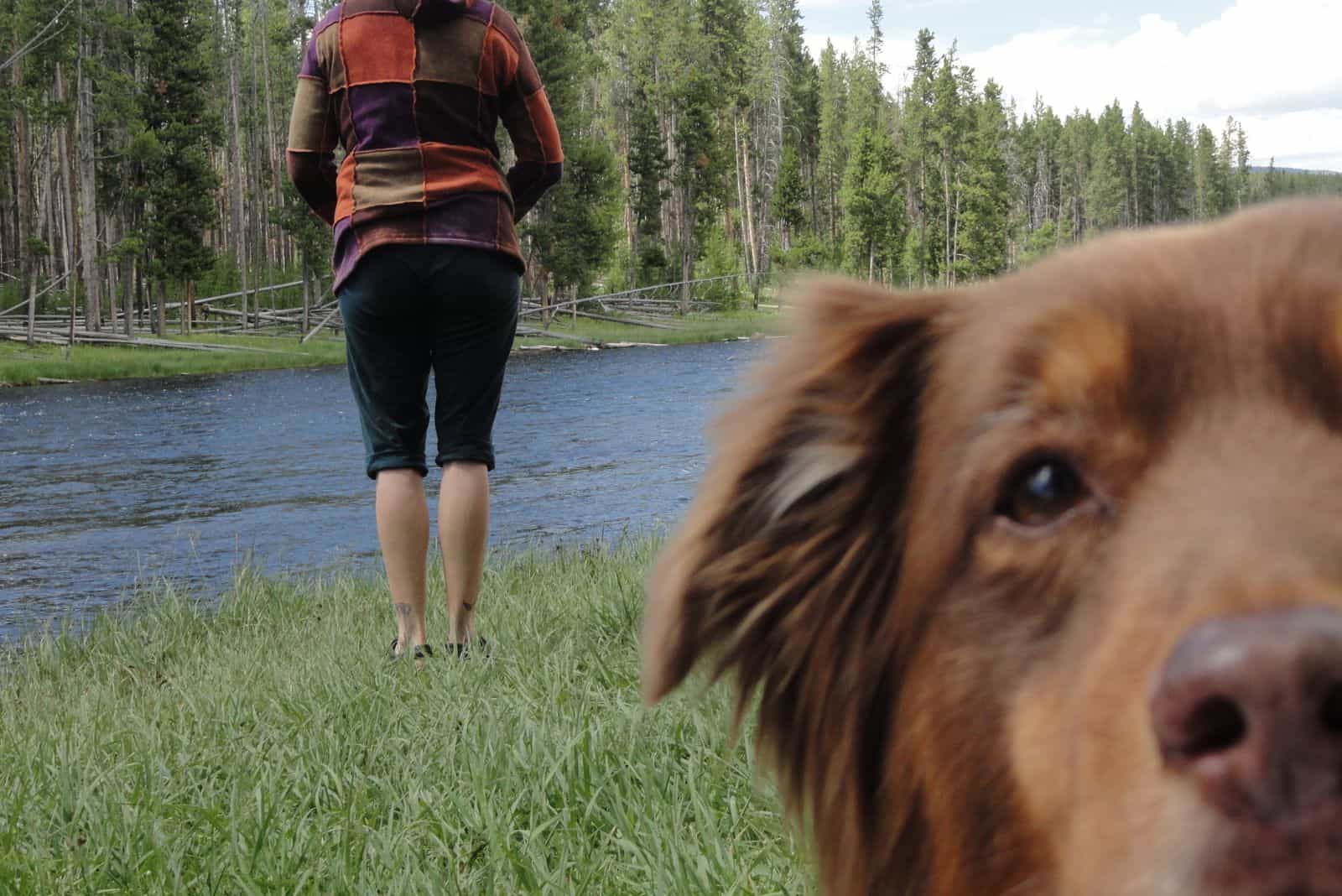 a woman stands by the lake with her back turned, the dog enters the frame