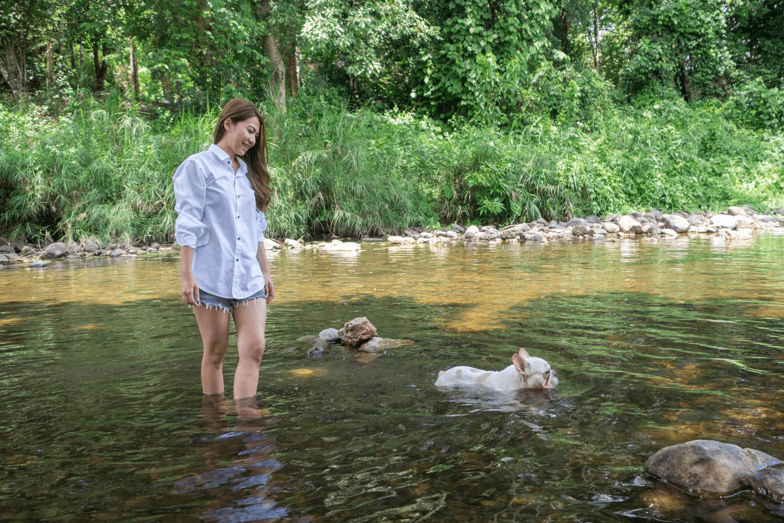 a woman stands in the water while a French bulldog swims