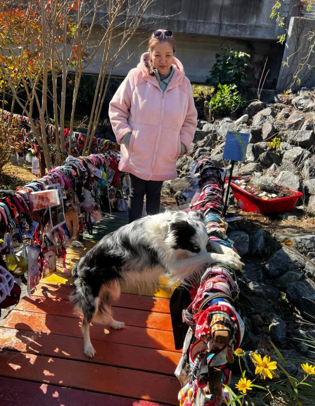 a woman stands on the bridge with a dog leaning against the fence