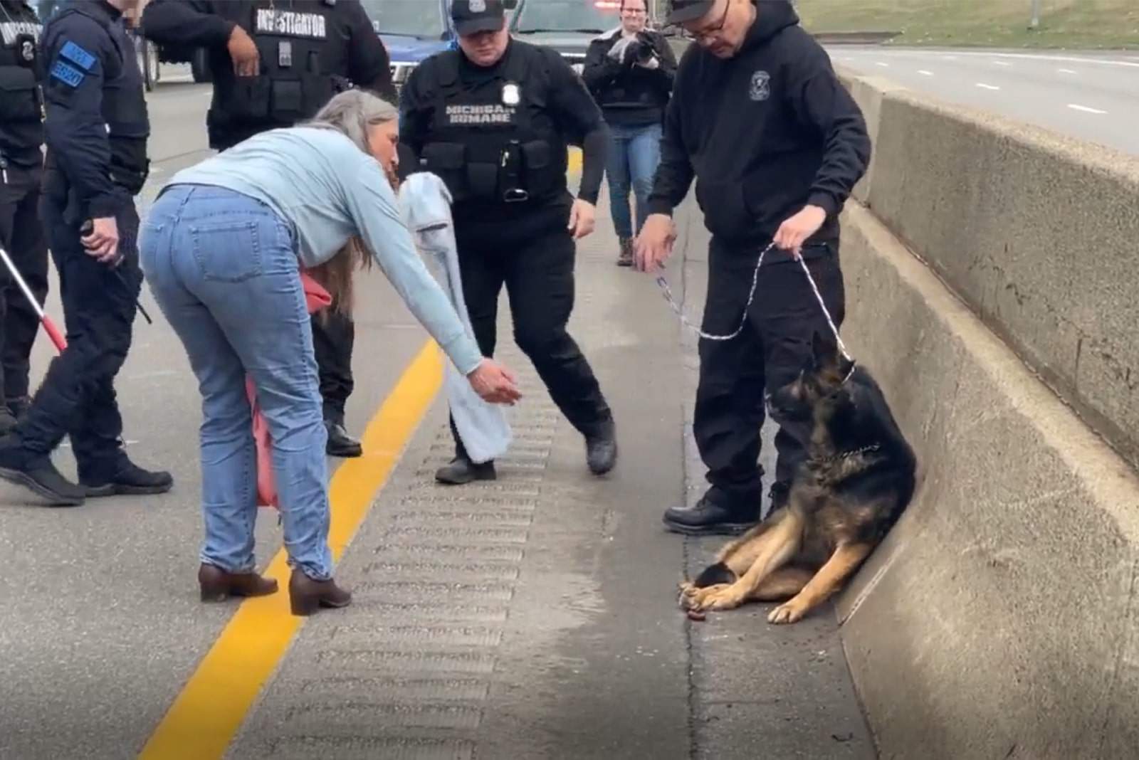 Giant-Hearted Woman Saves A German Shepherd From A Dangerous Freeway