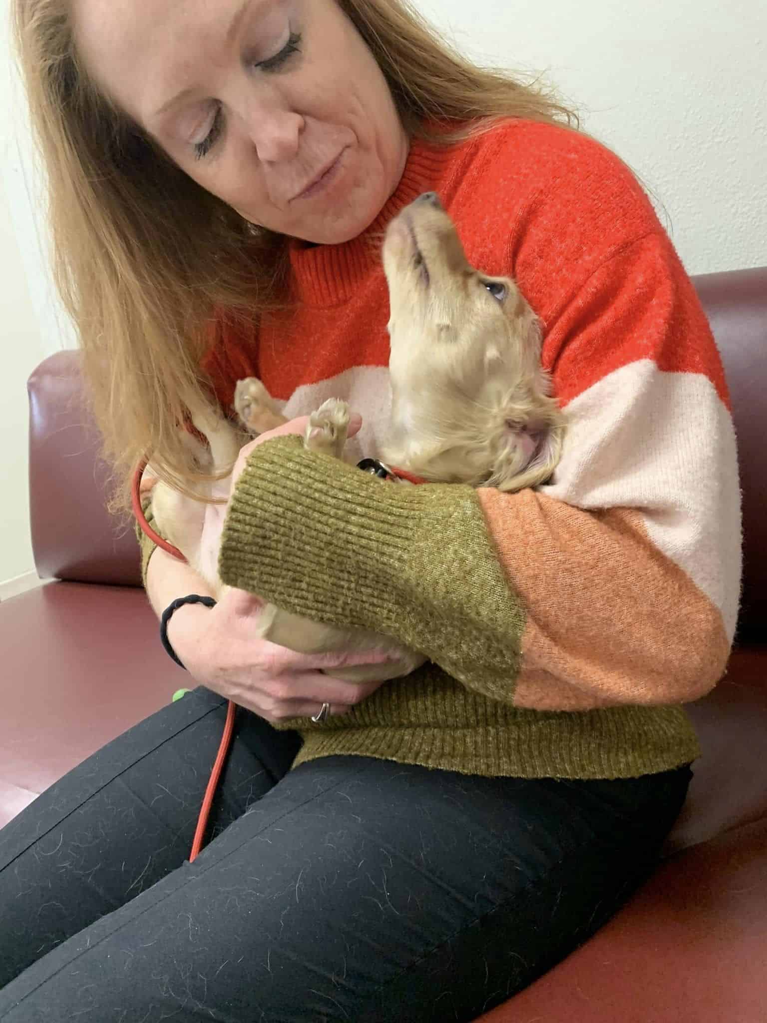 abandoned puppy in her caregiver's lap