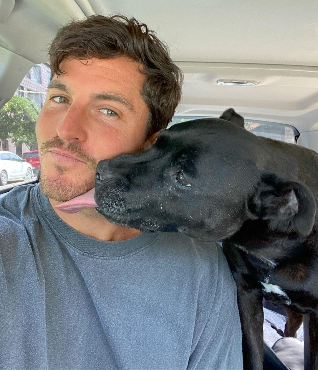 adopted dog licking man's face