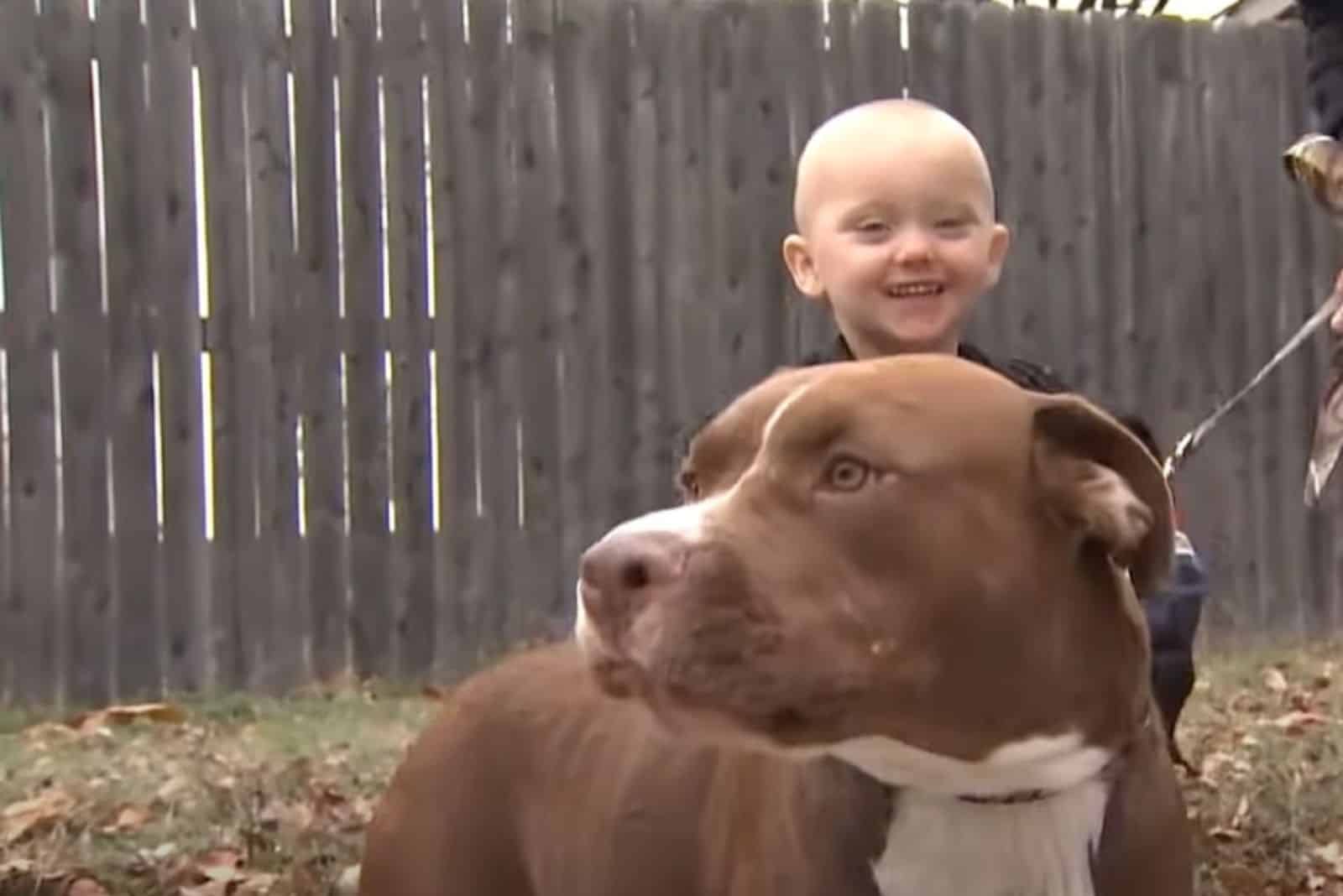 Adopted Pit Bull Became A Hero After Saving A Boy With Seizures