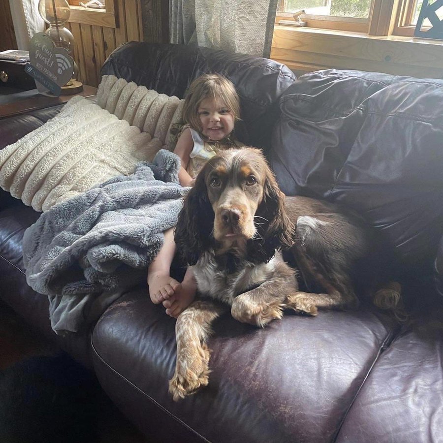 adorable little girl with dog on the couch