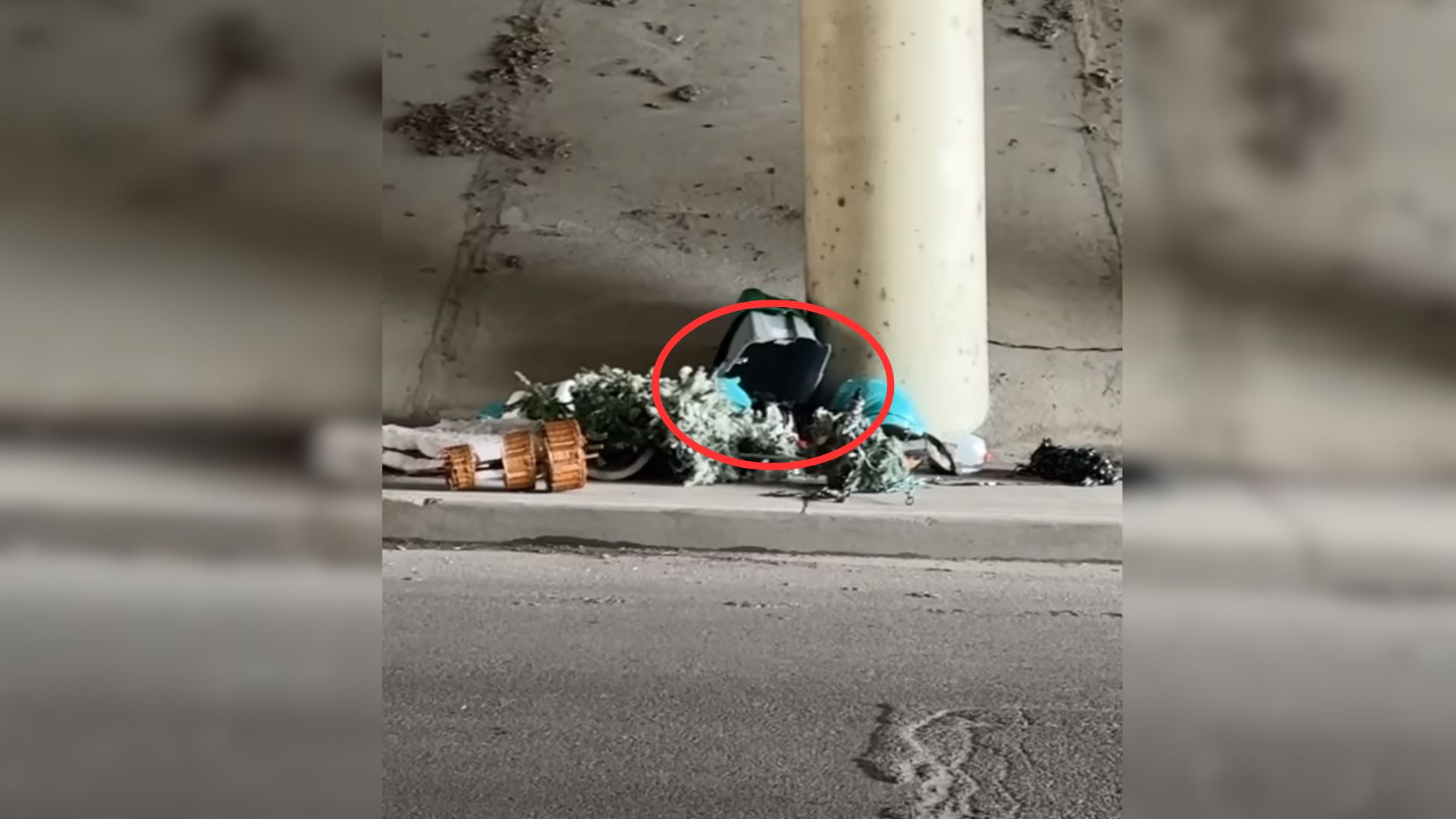 Adorable Pup Hiding In A Pile Of Trash Under A Highway Can’t Stop Wagging His Tail At The Sight Of His Rescuers