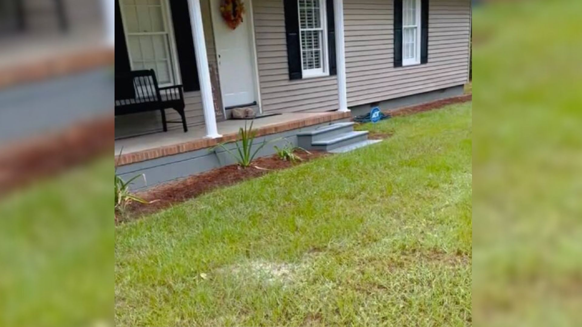 Woman Noticed An Unusual Guest Lying On Her Doormat When She Came Back Home