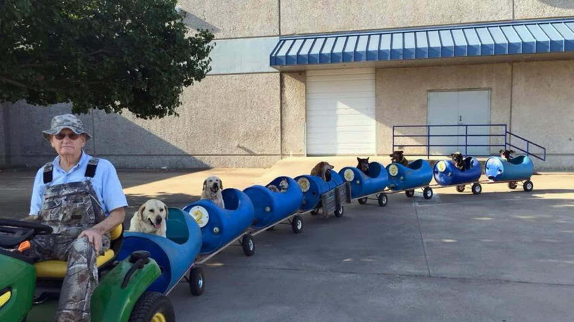 Amazing Grandpa Adopts Stray Dogs And Then Takes Them On Adventures In A Small Train