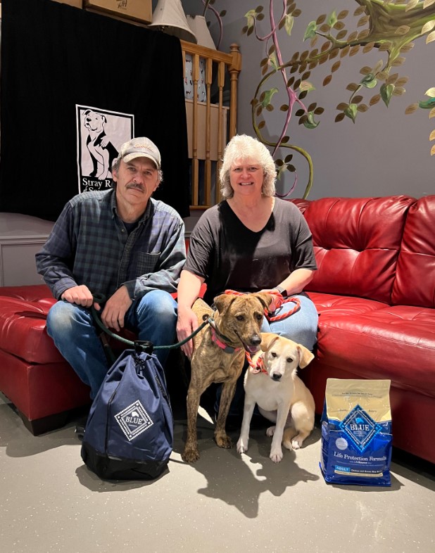 an elderly couple with two rescued dogs