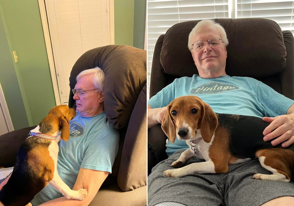 an elderly man sits on an armchair and holds a dog on his lap